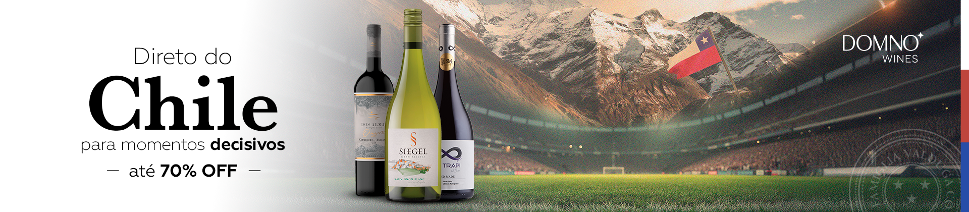 copa chile 11/02 (1920x420)